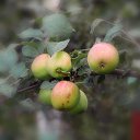 �������� ������� �� ������� ���� ����