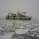 ���� ����, ������-�������, 49 ��� - ��������� 16 ������� 2012 � ������ ����������