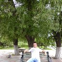 ���� ����, �����������, 36 ��� - ��������� 25 ������� 2012 � ������ ���� ����������