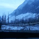  ,  -  5  2013    2013 . , , , .