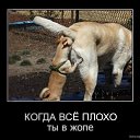 ���� �������, ������, 39 ��� - ��������� 23 ������� 2010 � ������ ��������������