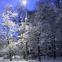 ���� ������, ������, 47 ��� - ��������� 4 ������� 2013 � ������ �������� ������