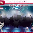  , -, 34  -  3  2011   PetLove