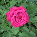 ���� �������, ������ ���, 60 ��� - ��������� 2 ����� 2012 � ������ �2�