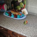 ���� ���������, �����-���������, 47 ��� - ��������� 6 ��� 2013 � ������ ���� ����������