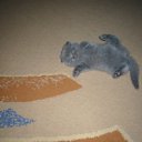 ����� �� ������� ���� ��������