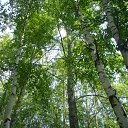 ���� �����, ���������, 49 ��� - ��������� 30 ���� 2012