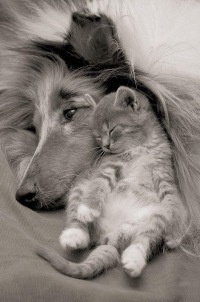 ���� ���������, ����������, 24 ���� - ��������� 12 �������� 2012