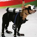 ���� ����, ��������� - ��������� 27 ���� 2011 � ������ ��������� � �����