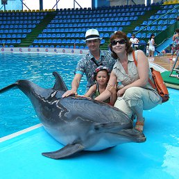 ���� �������, �������, 53 ���� - ��������� 20 ���� 2013