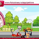  , , 64  -  19  2010   PetLove