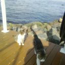  , , 67  -  22  2011   22.04.2011 .   