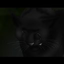 ���� ������, �����, 27 ��� - ��������� 14 ������ 2012 � ������ ���� ����������