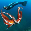 ���� ����� - ���������� ��������!!!, �����������, 56 ��� - ��������� 20 ������� 2009 � ������ ������������� ��������� � ��������� ���!�