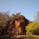 ���� �������, ���������, 66 ��� - ��������� 11 ������ 2012 � ������ ���� ����������