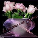 ���� �������, �����, 51 ��� - ��������� 15 ������� 2010 � ������ �������