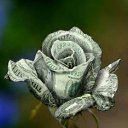  Niedara, , 51  -  2  2012   !!!!!!