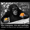  Lika,  -  12  2010   