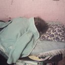  E.lena, , 62  -  13  2010    