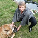 ���� ������, ������ �����, 54 ���� - ��������� 31 ����� 2012 � ������ ���� ����������