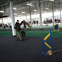 ���� �����, ����� - ��������� 1 ������� 2011 � ������ ��������� ����� � �����.����� 2011�