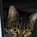 ���� �����, ������ - ��������� 26 ������ 2012 � ������ �����������