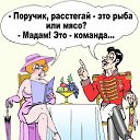 ���� ����, �����-���������, 61 ��� - ��������� 8 ��� 2012 � ������ ����� ������ ;)�