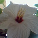 ���� ��������, ������ - ��������� 27 �������� 2010 � ������ �������