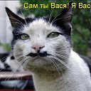���� �����, �����������, 39 ��� - ��������� 30 ������ 2011 � ������ �������