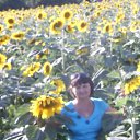 ���� �����, ���������, 64 ���� - ��������� 29 ���� 2012 � ������ ���� ����������