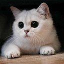 ���� ����������, �����, 24 ���� - ��������� 25 ������ 2011 � ������ ����������� �����
