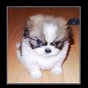 ���� ������� ����������, �����������, 48 ��� - ��������� 2 ������ 2012