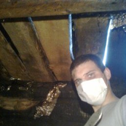 ���� ����, ������, 36 ��� - ��������� 28 ������ 2011