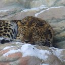 ���� �����, ����� - ��������� 25 ������ 2012 � ������ ���� ����������