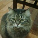 ���� ����� (��������� ������ ������), ���� - ��������� 29 ������� 2012 � ������ �������