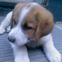 ���� �������, ������������, 58 ��� - ��������� 4 ����� 2012 � ������ ���� ����������