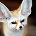 � ������ ��������� ������ ��� ��������� �����!) �� ������� �������