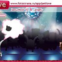 ���� �������, �����, 57 ��� - ��������� 13 ����� 2011 � ������ �PetLove�