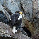 ���� �������, ������ - ��������� 11 ������� 2010 � ������ ��������