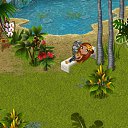 ���� ���, ������, 24 ���� - ��������� 31 ������� 2012 � ������ �Tropikania�