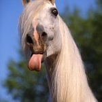 ���� �������, ������, 30 ��� - ��������� 19 ��� 2012