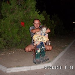 ���� ����, ������, 41 ��� - ��������� 3 ������� 2012