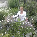 ���� �����, �������, 33 ���� - ��������� 11 ��� 2012 � ������ ���� ����������