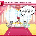 ���� Sem, �����, 53 ���� - ��������� 23 ������ 2011 � ������ �PetLove�