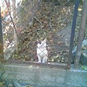 ���� Vit, ������ - ��������� 31 ������� 2011 � ������ �2�