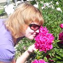 ���� �����, ������� - ��������� 24 ���� 2013 � ������ ���� ����������