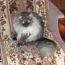 ���� ���� ~������~, ���������, 31 ��� - ��������� 8 ���� 2010 � ������ ���� ����������