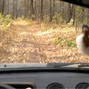 ���� ���@����@, �������, 49 ��� - ��������� 14 ������� 2011 � ������ ���� ����������