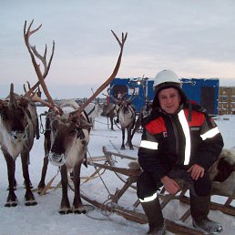 ���� ������, ����, 62 ���� - ��������� 4 ������� 2013