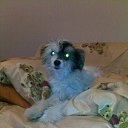 �������) �� ������� ���� �������)�